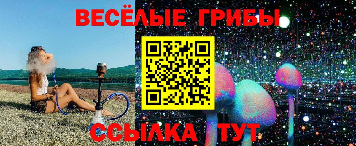 Псилоцибиновые грибы мухоморы Иваново