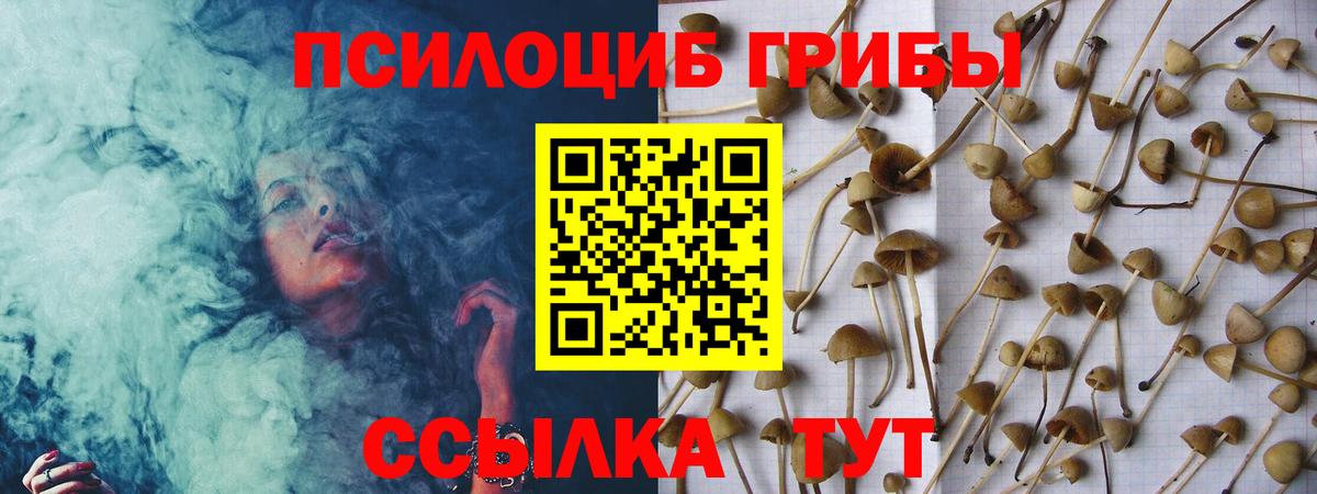 Галлюциногенные грибы GOLDEN TEACHER  Вход с VPN  Иваново 