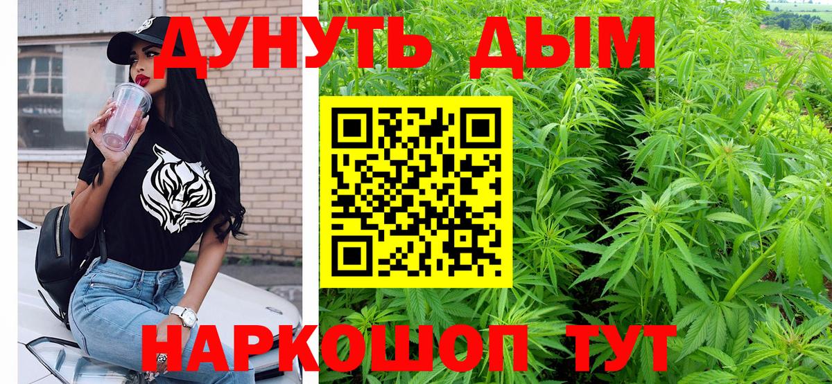 Каннабис сатива Иваново